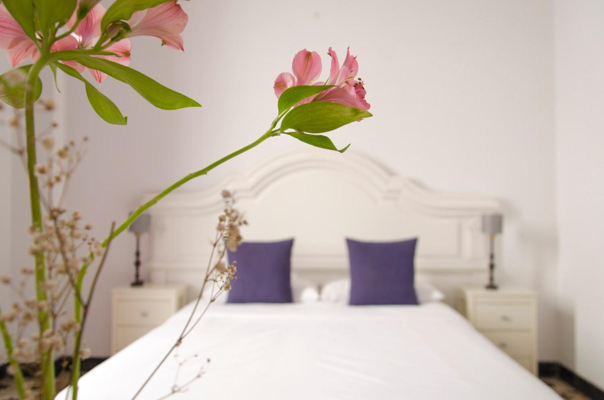 Hotel Rural Casona Santo Domingo Güimar 外观 照片
