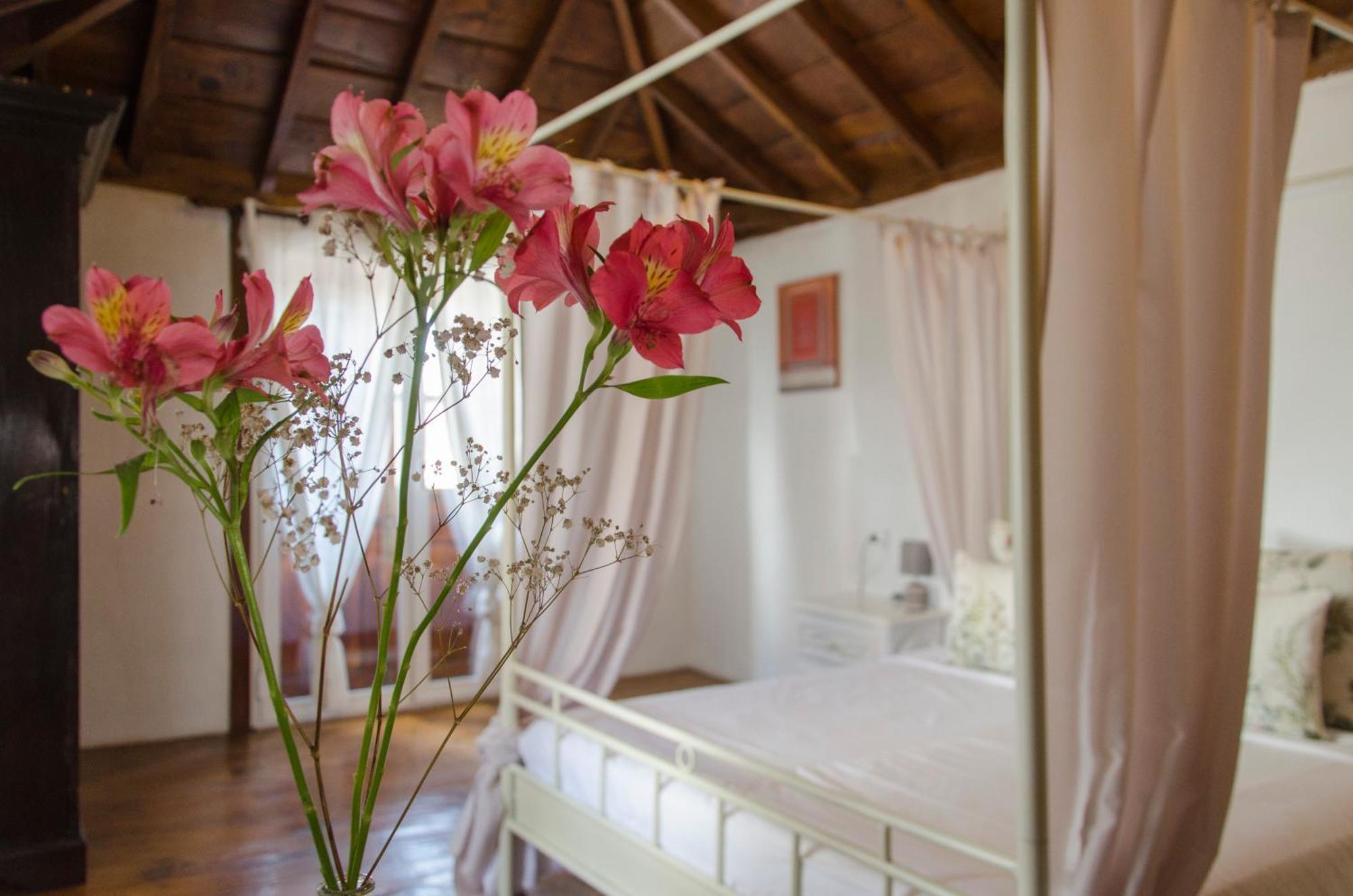 Hotel Rural Casona Santo Domingo Güimar 外观 照片